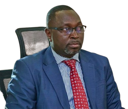 Portrait of Mr. Louis Moses Mendy